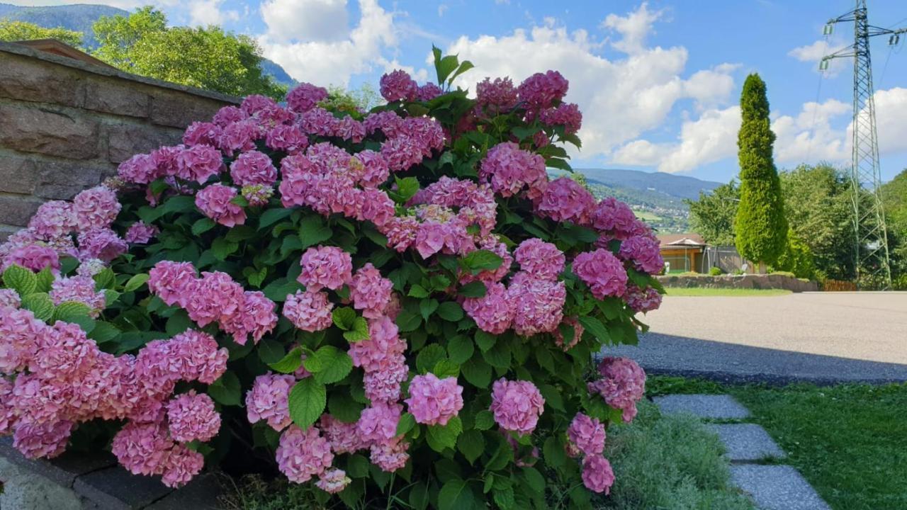 Ferienwohnungen Koflerhof Castelrotto Zewnętrze zdjęcie