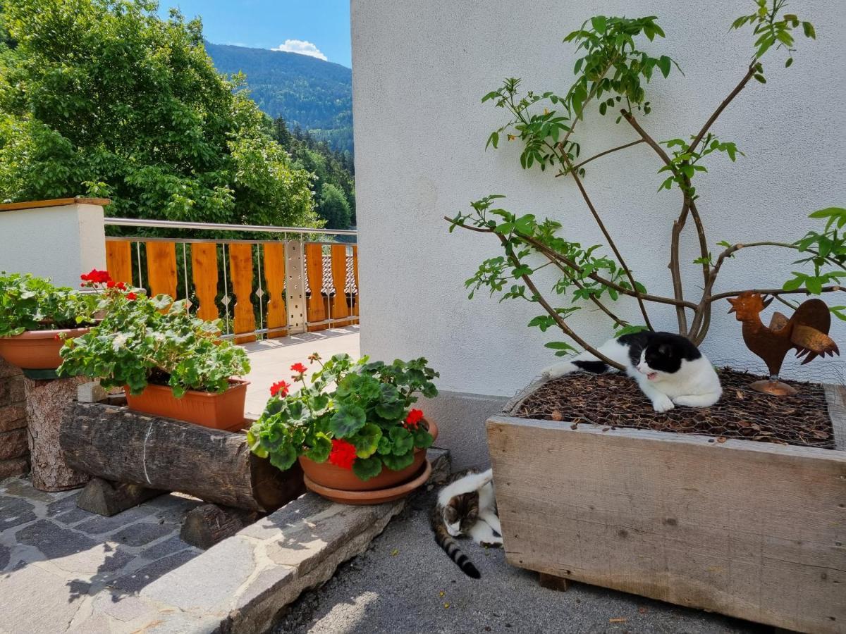 Ferienwohnungen Koflerhof Castelrotto Zewnętrze zdjęcie